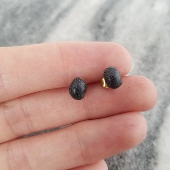 Vintage Tiny Shell Post Earrings, Little Studs, Nature, Gold Tone Posts, Estate - Picture 1 of 4